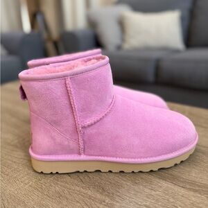 UGG Mini NWOB-Rare Color